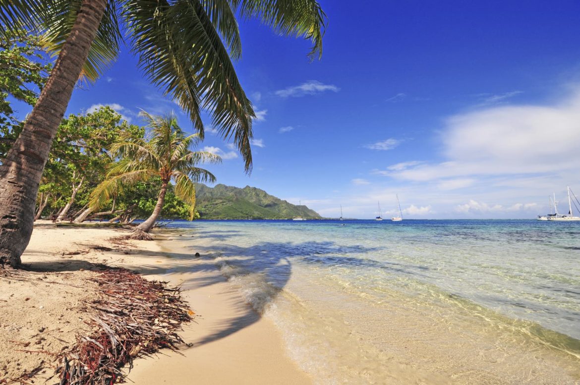 Palm lined beaches welcome you on your French Polynesia yacht charter