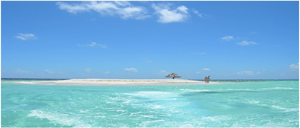 Saint Vincent and the Grenadines OceanScapeYachts