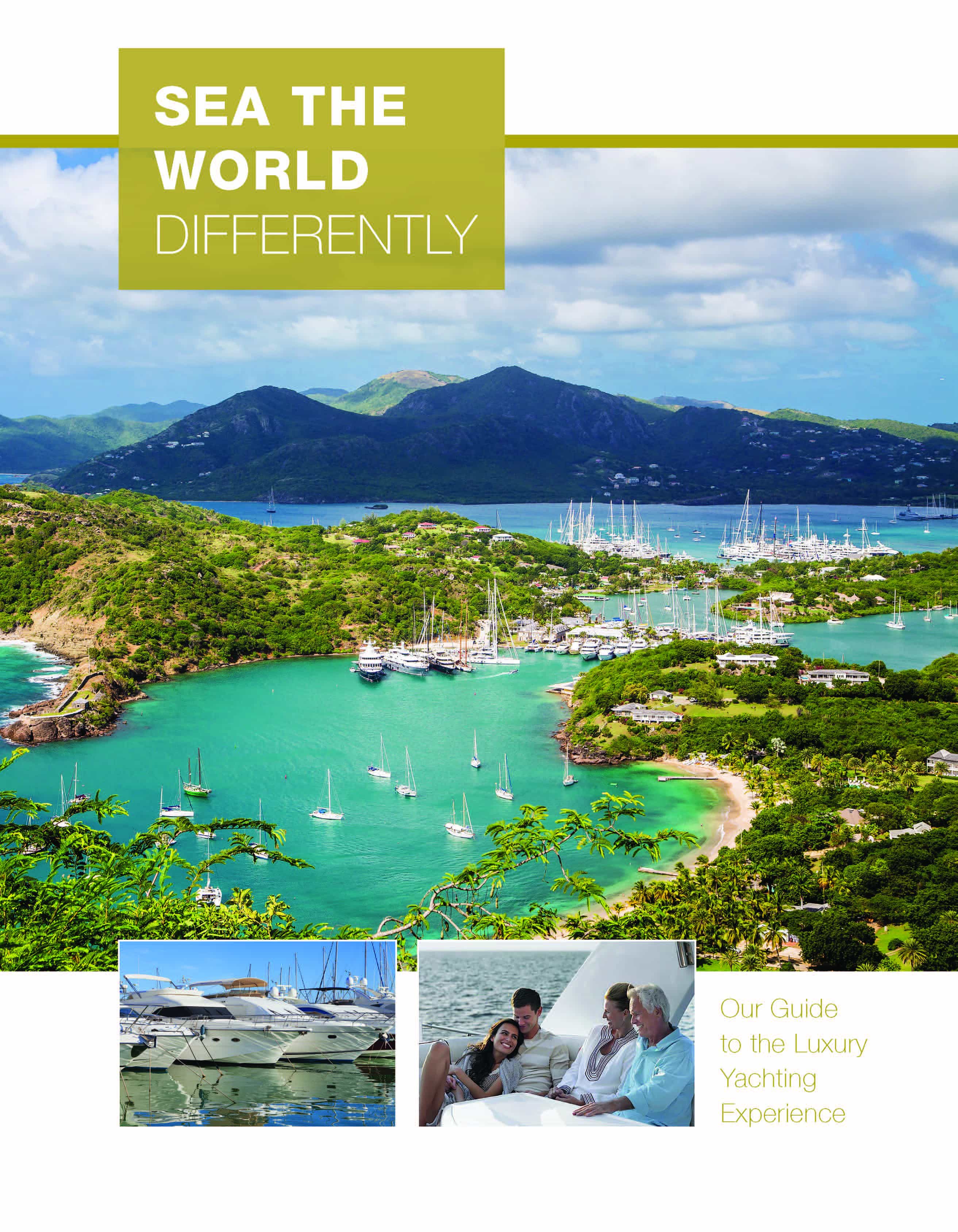 front cover of Sea the World Differently