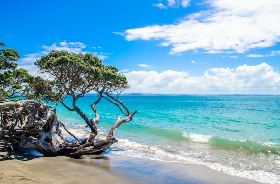 waves crashing on a New Zealand beach.