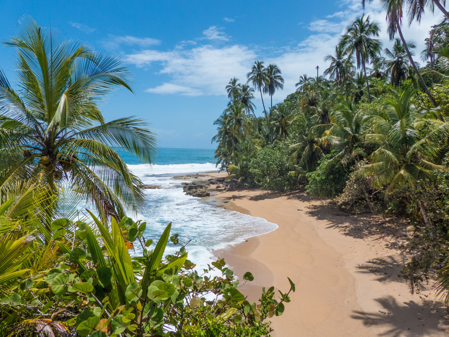 A sandy beach surrounded by palm trees and blue waves. The kind of spot you can only get to on a superyacht charter.