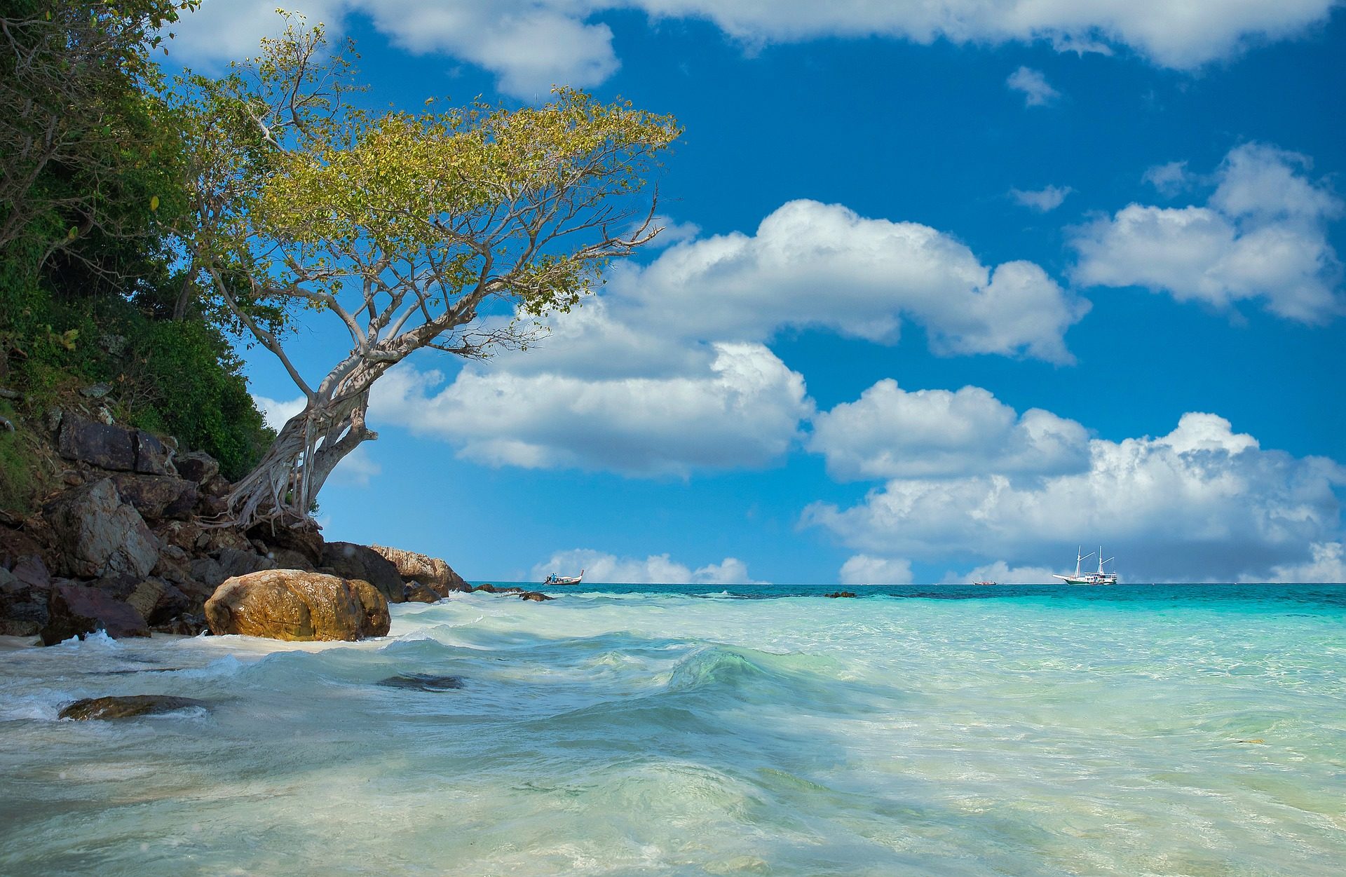 turquoise water of southeast Asia washing up on shore with lone tree