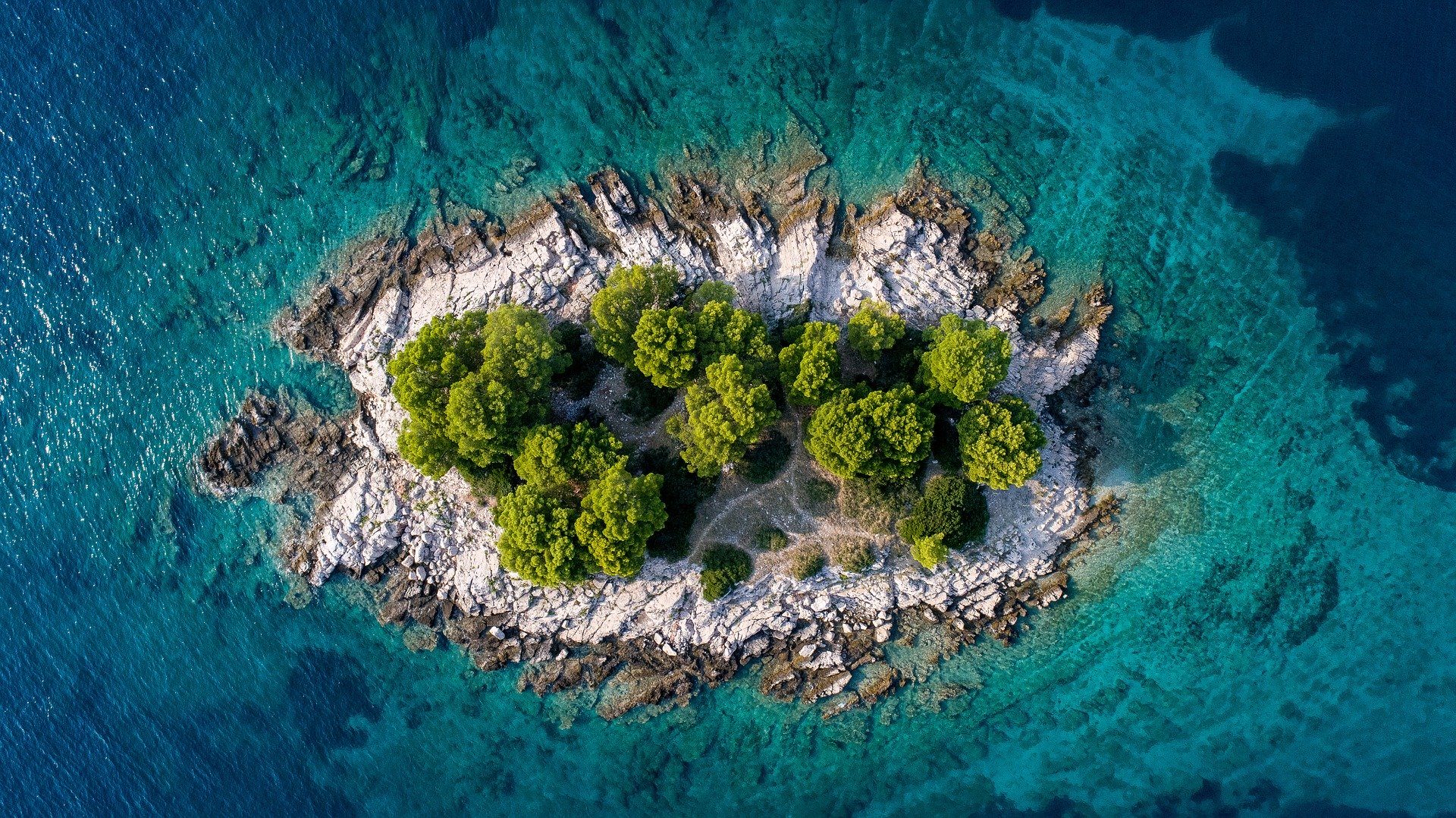 aerial view of rocky island with trees on it in Croatia