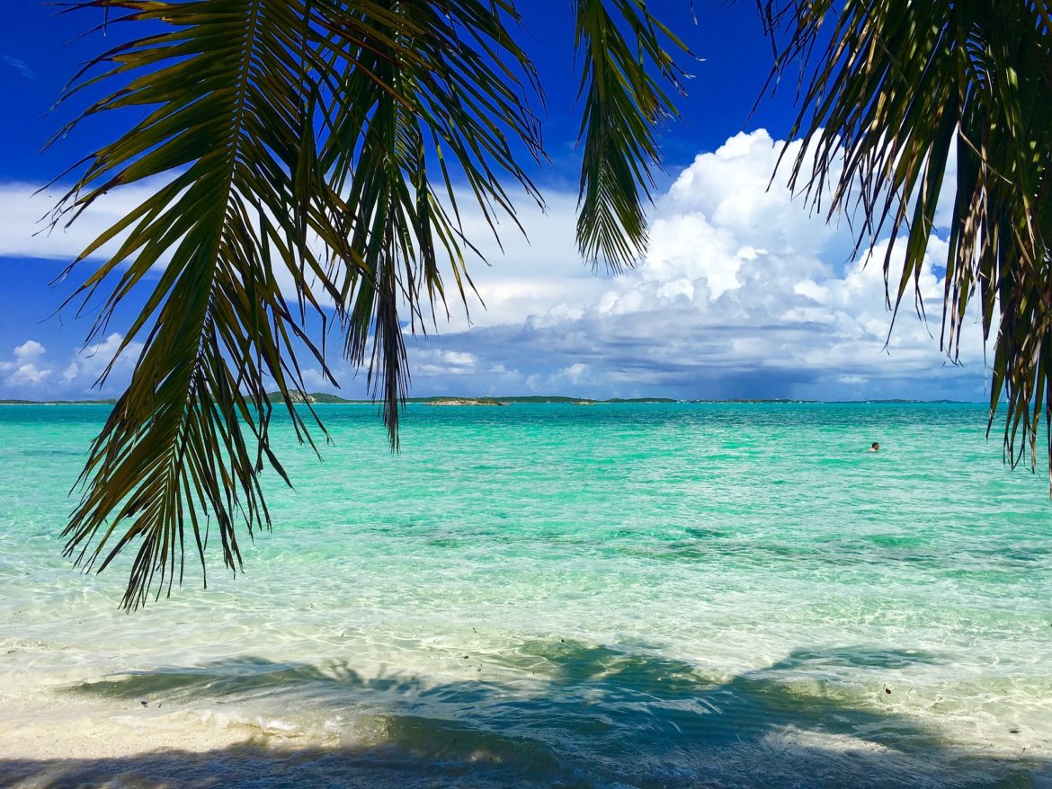 bahamas beach with palm trees in forgeound