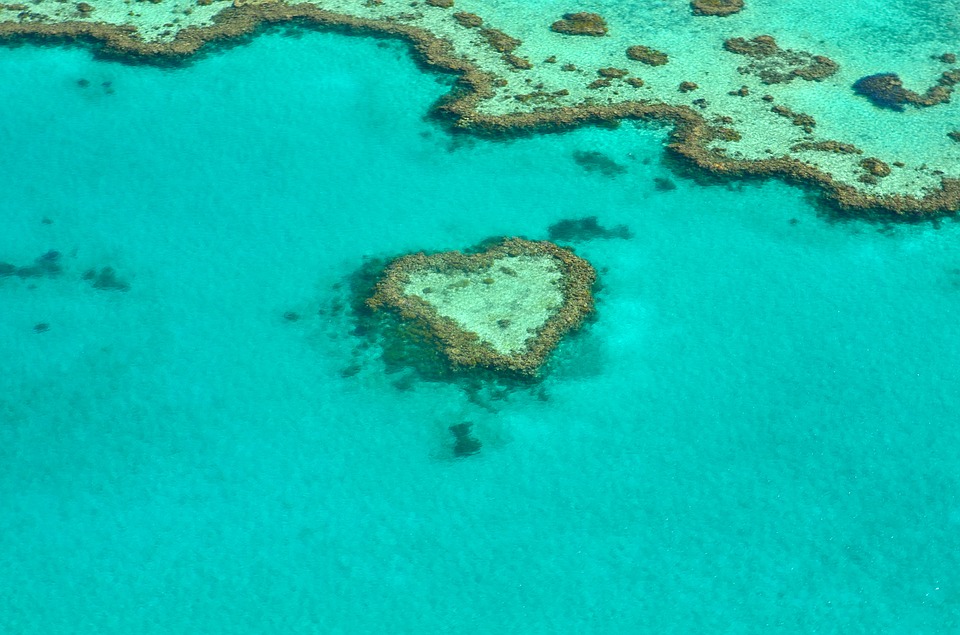 aerial shot of the Great Barrier Reef with coral shaped like a heart