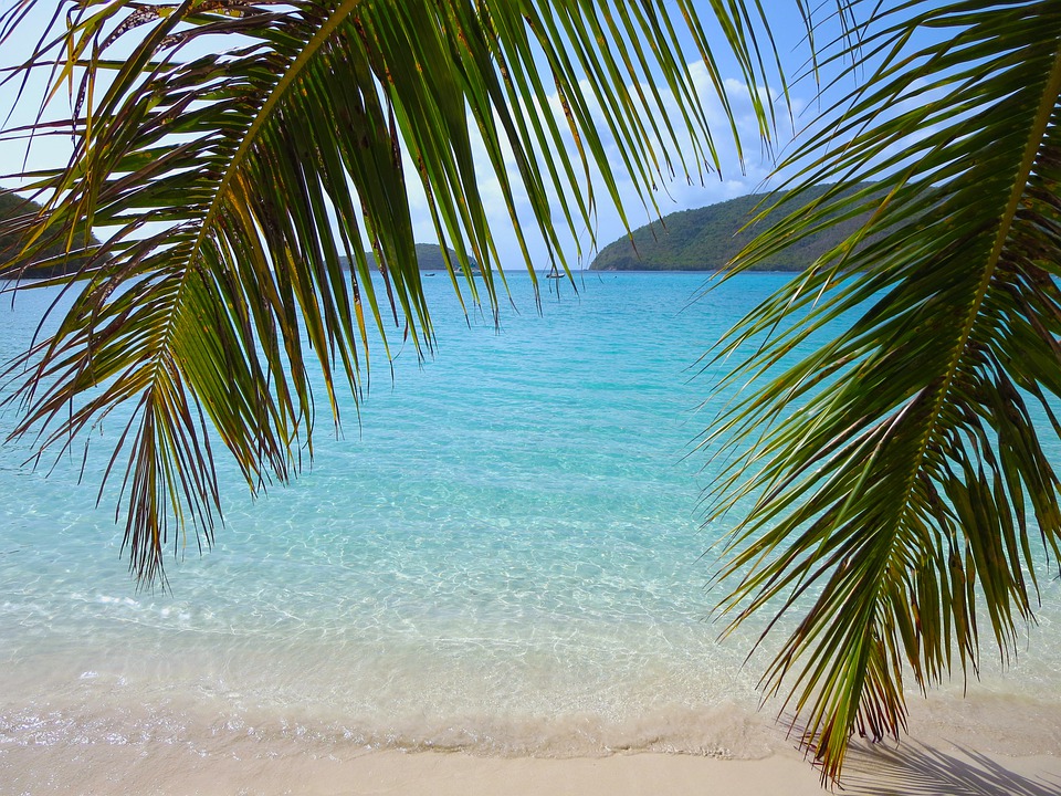 palm leaves in foreground with turquoise water in background