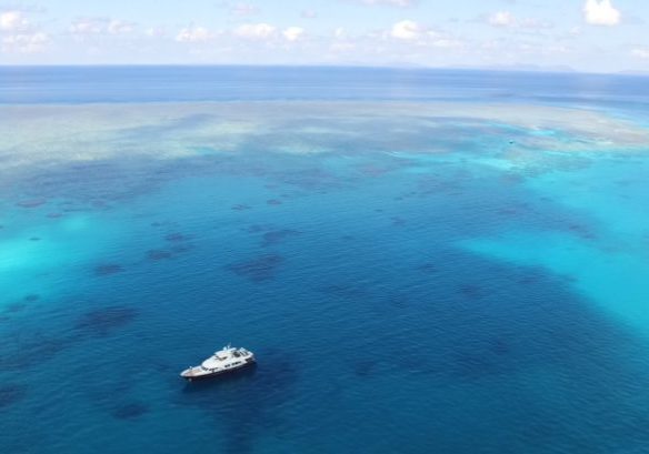 Copy of AURORA_in the great barrier reef